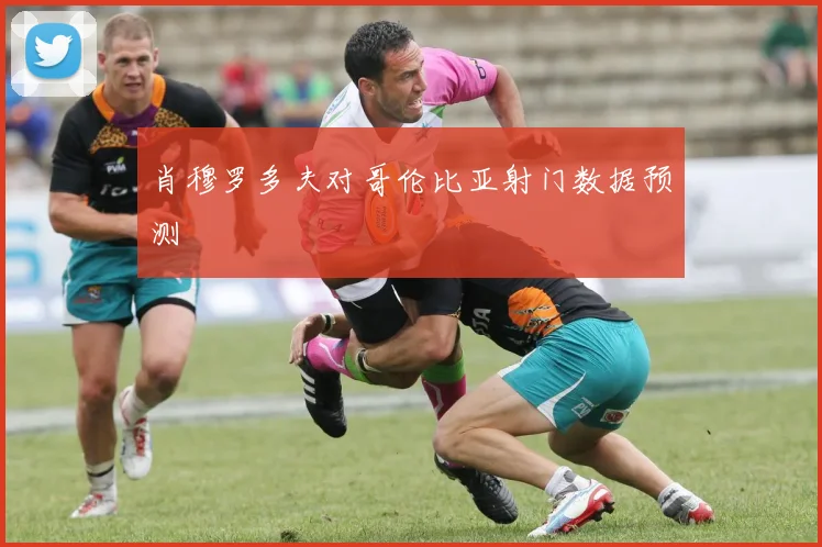 肖穆罗多夫对哥伦比亚射门数据预测