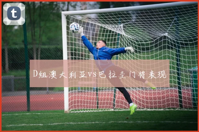 D组澳大利亚vs巴拉圭门将表现