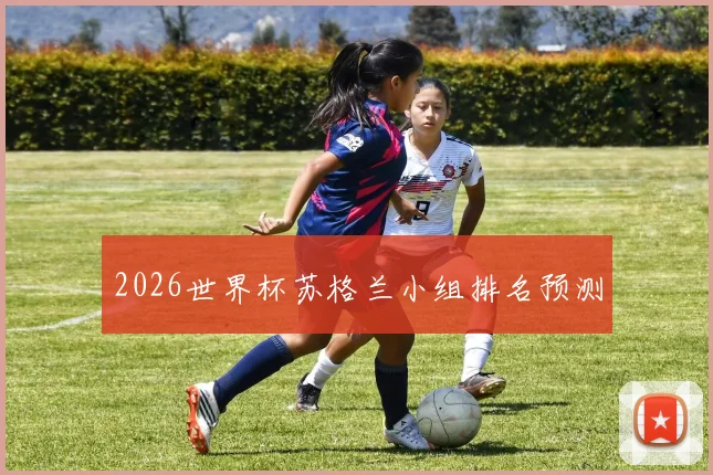 2026世界杯苏格兰小组排名预测
