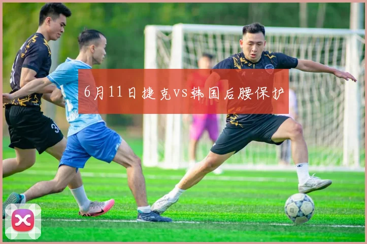 6月11日捷克vs韩国后腰保护