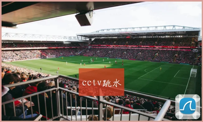 cctv跳水