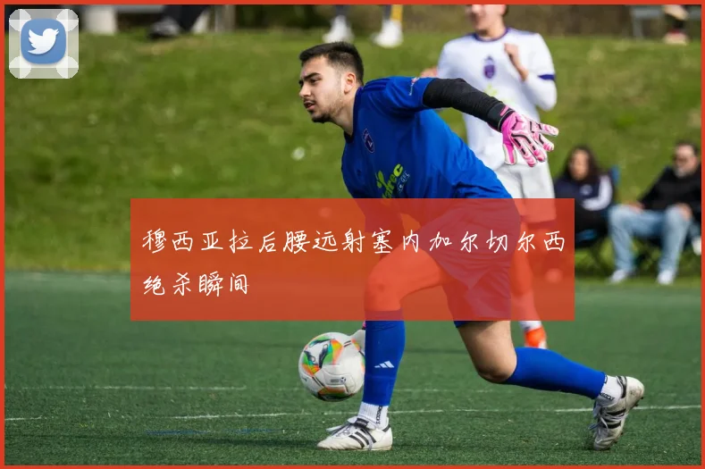 穆西亚拉后腰远射塞内加尔切尔西绝杀瞬间