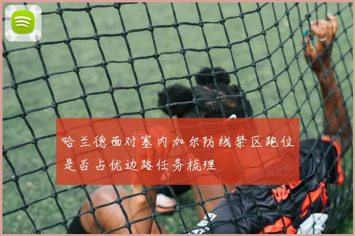 哈兰德面对塞内加尔防线禁区跑位是否占优边路任务梳理