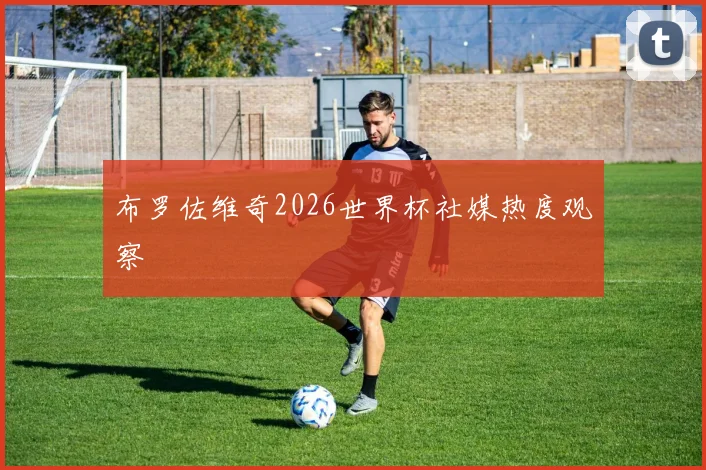 布罗佐维奇2026世界杯社媒热度观察