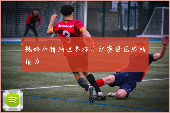 鲍姆加特纳世界杯小组赛禁区终结能力