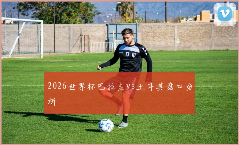 2026世界杯巴拉圭vs土耳其盘口分析