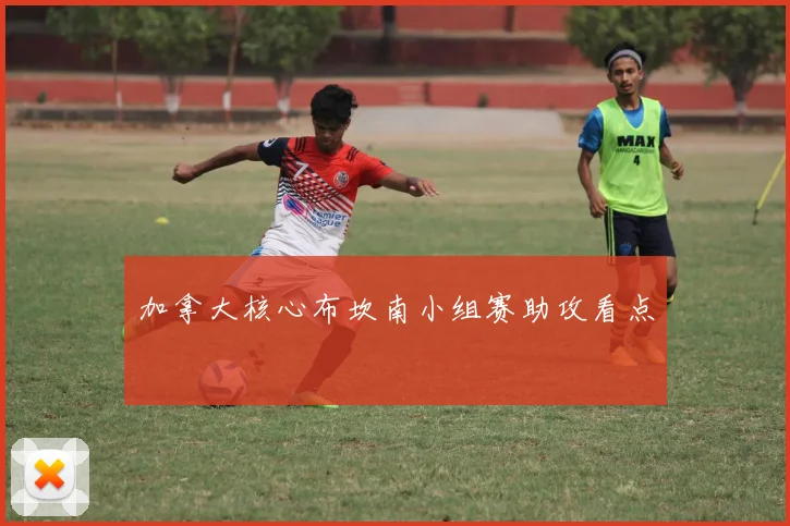 加拿大核心布坎南小组赛助攻看点