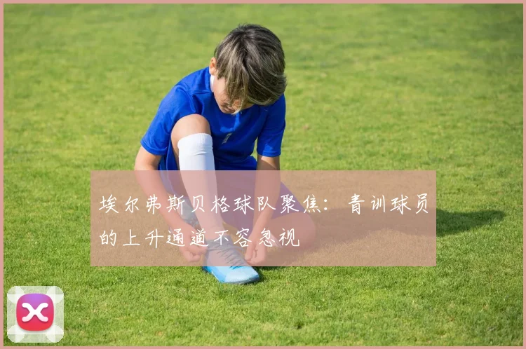 埃尔弗斯贝格球队聚焦:青训球员的上升通道不容忽视